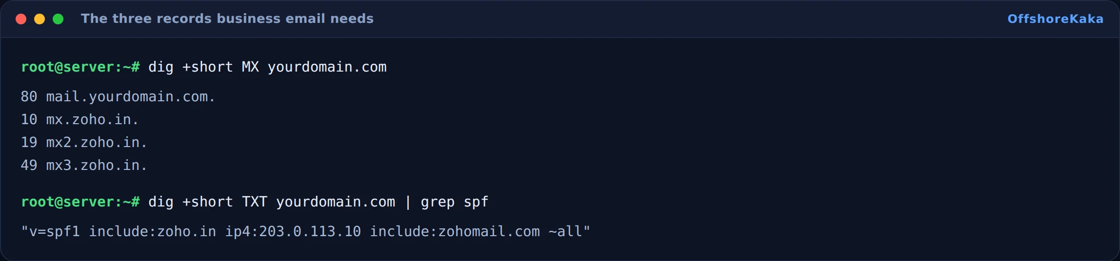 Terminal output showing MX records with priorities and an SPF TXT record