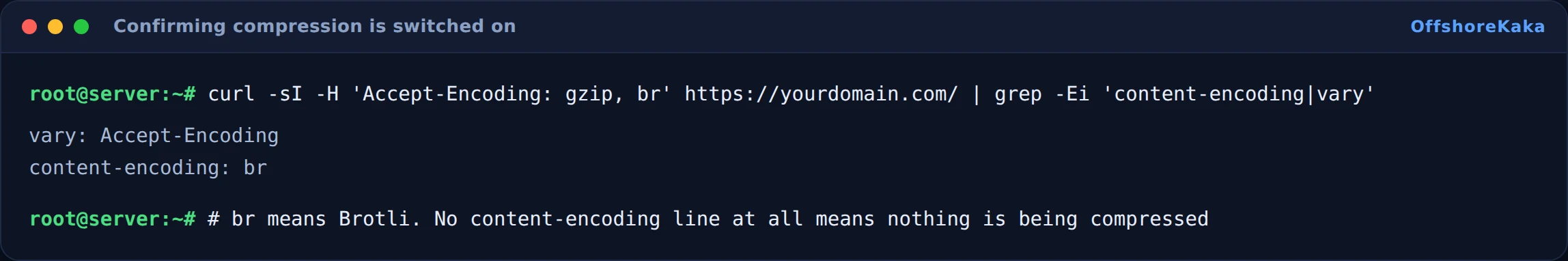 Response headers showing content-encoding br meaning Brotli compression is active