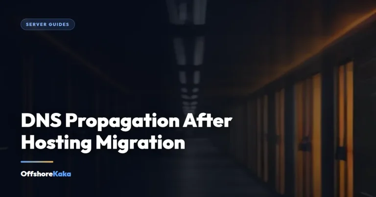 DNS Propagation After Hosting Migration - Server Guides guide from OffshoreKaka