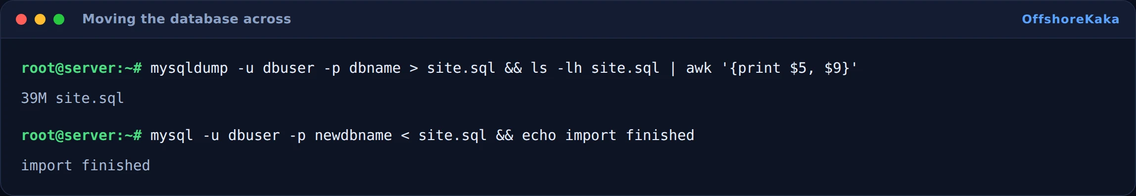 Terminal exporting the live database and importing it into a separate staging database