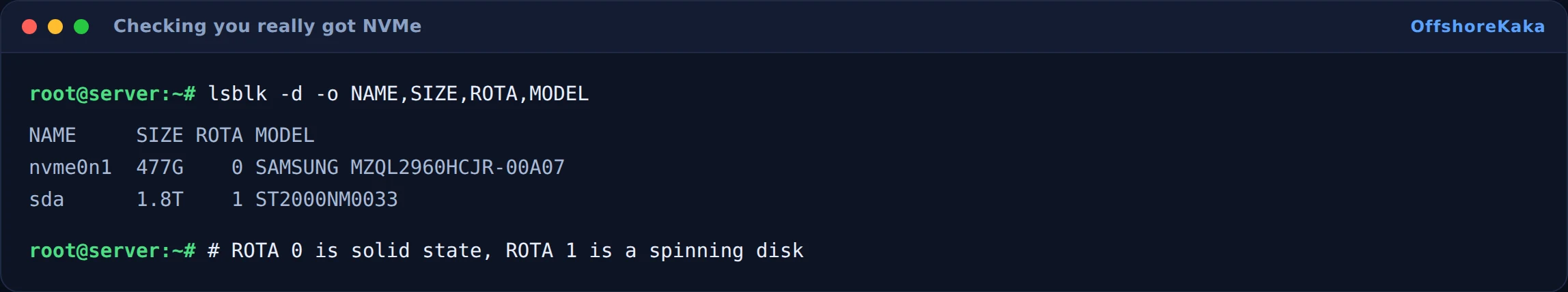 lsblk output showing an NVMe device with ROTA 0 next to a rotational disk with ROTA 1