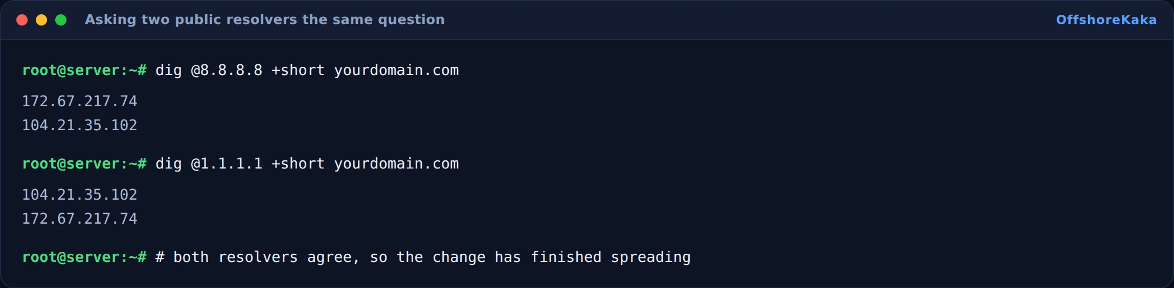 Terminal querying two different public DNS resolvers and receiving matching answers