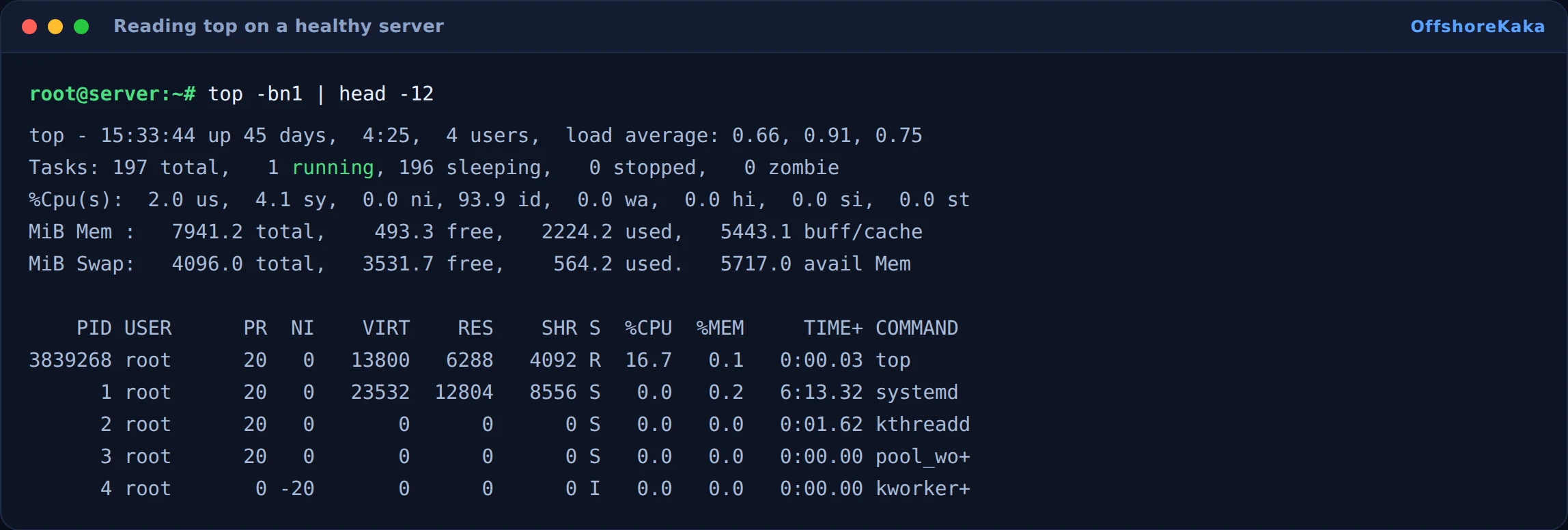 top output showing CPU idle percentage, memory usage and the process list
